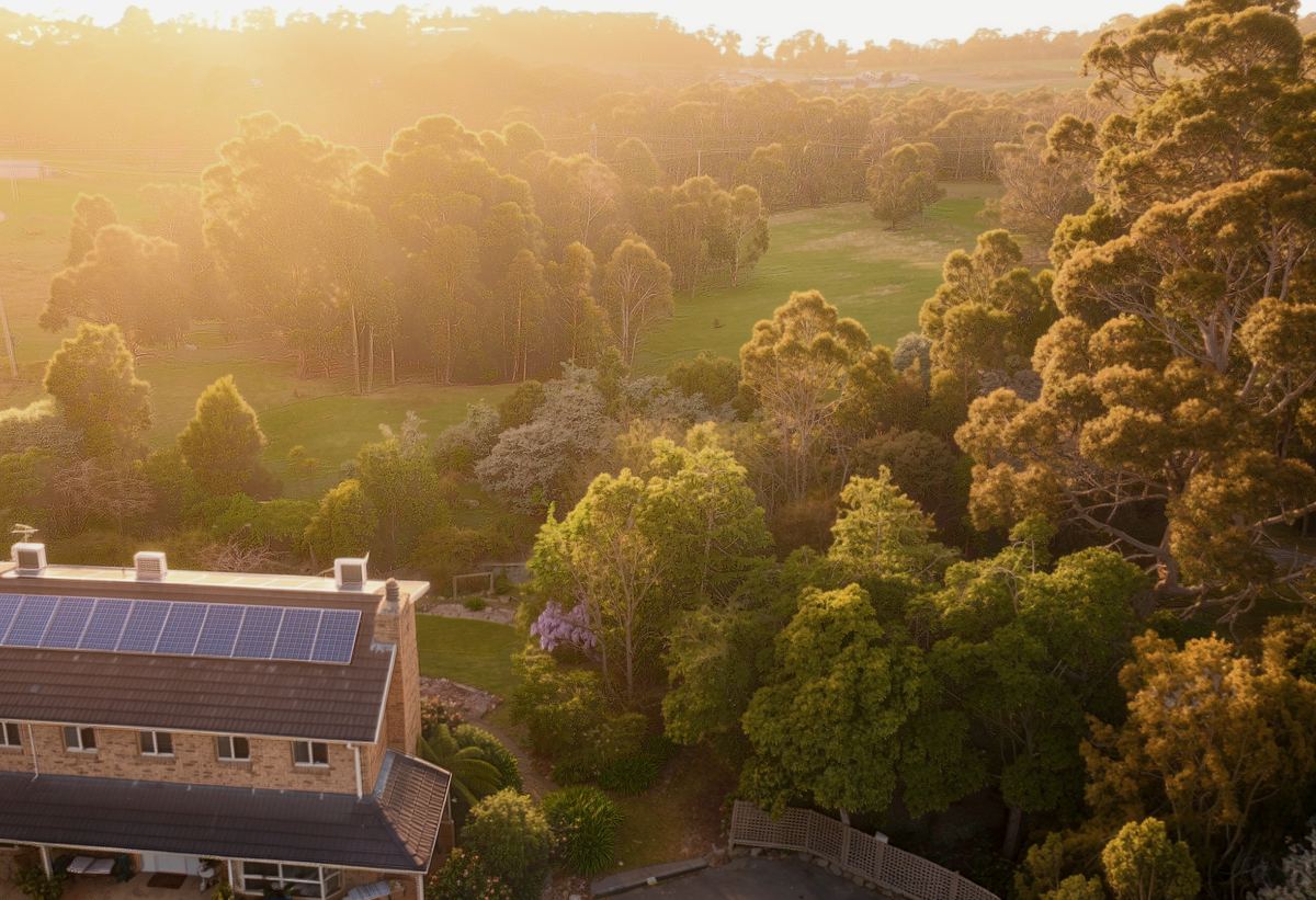 From the air in the golden light, the house among the gums