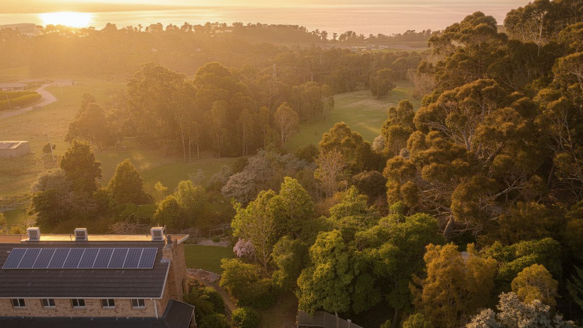 From the air: the roof and the trees running down to the water