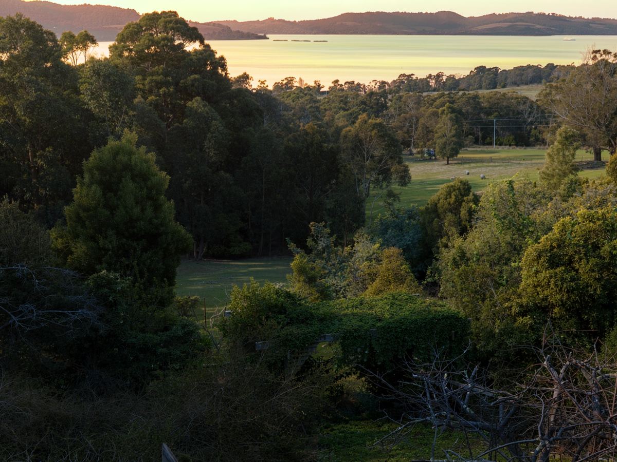 From the balcony, over the treetops to the water