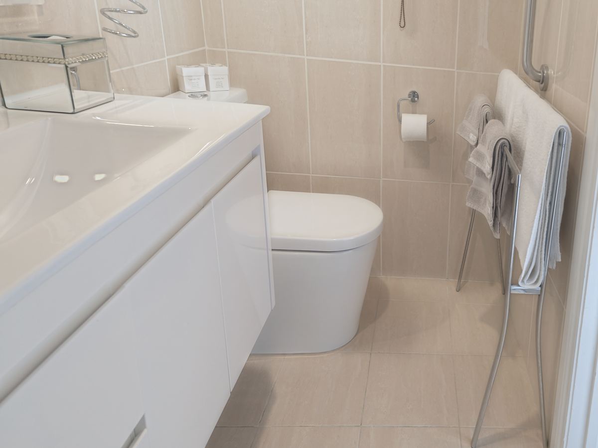 Vanity and toilet