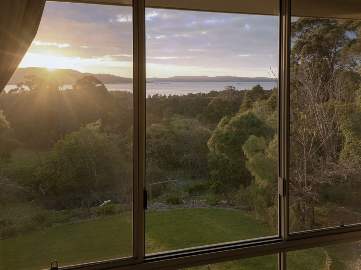 The view from the big window