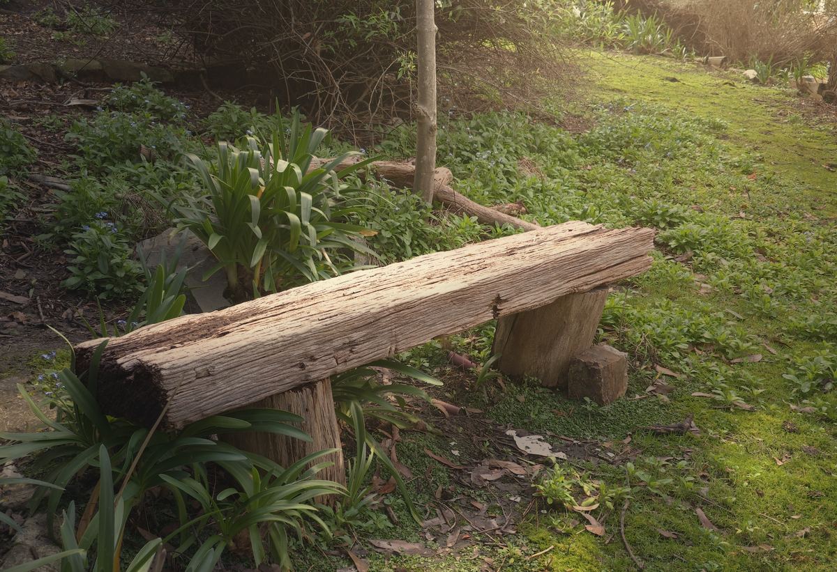 A bench under the trees