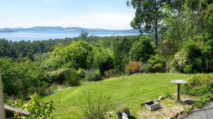 The lawn and garden beds on a clear day