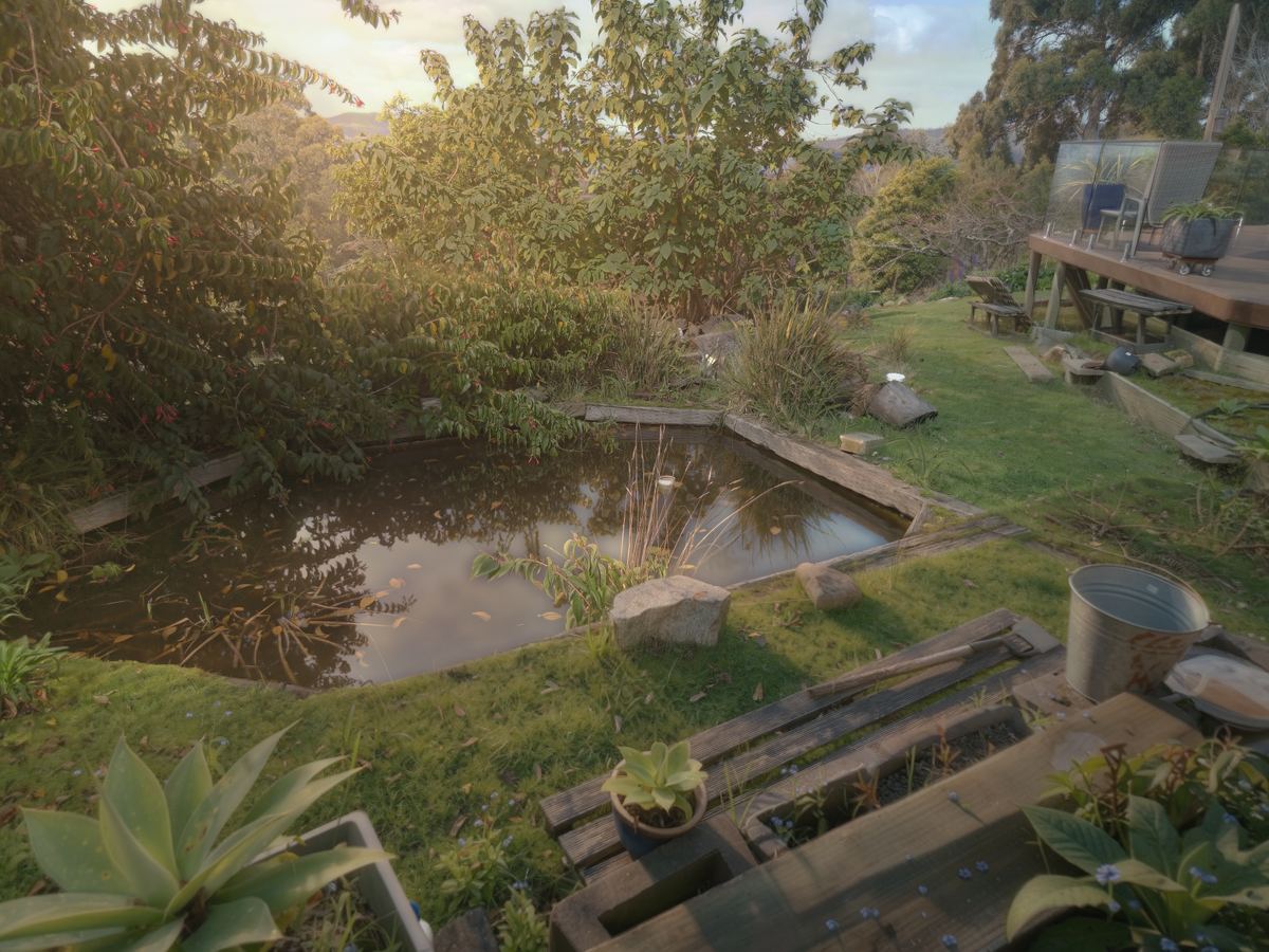 The pond cut into the lawn
