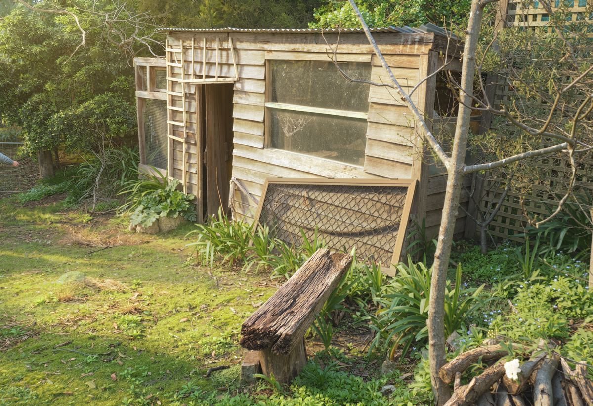 The old timber shed down among the trees
