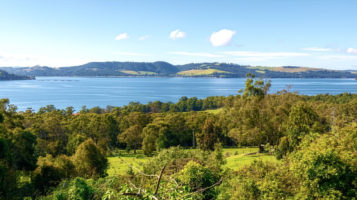 Across the treetops to the water on a clear day
